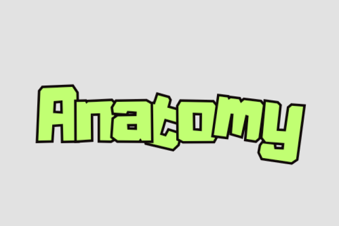 anatomy