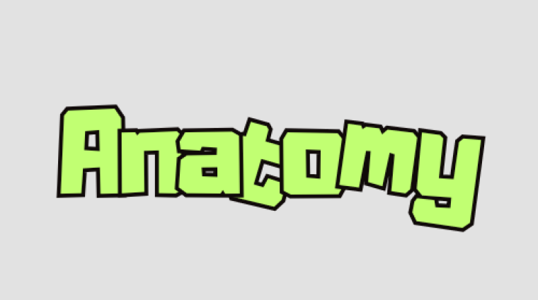 anatomy